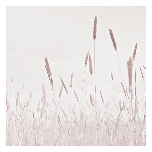 Fotobehang Summerly Reed Grass