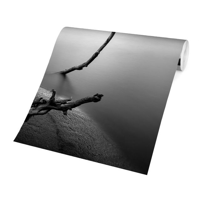 Fotobehang Sunset In Black And White By The Lake