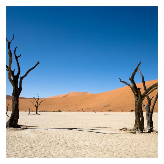 Fotobehang Sossusvlei Namibia