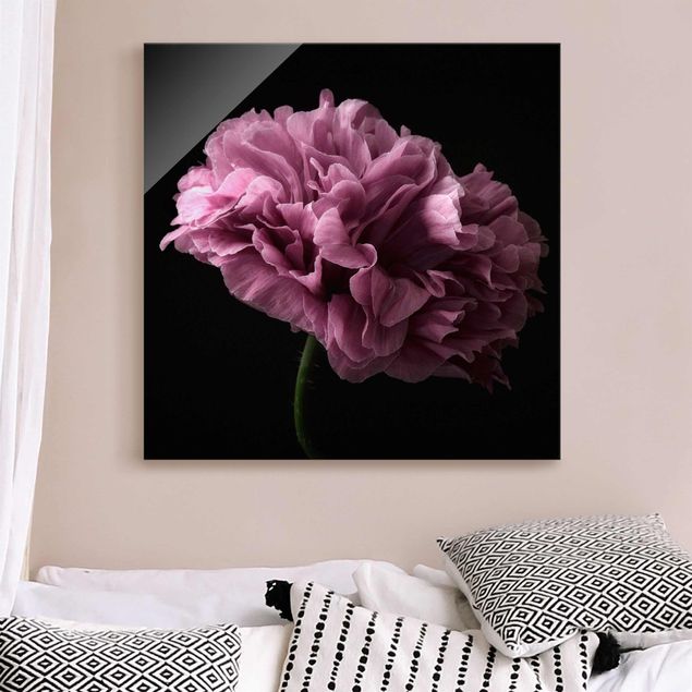 Magnettafel Glas Proud Peony In Front Of Black