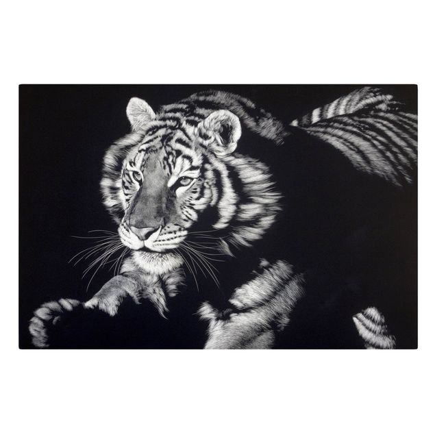 Canvas schilderijen - Tiger In The Sunlight On Black