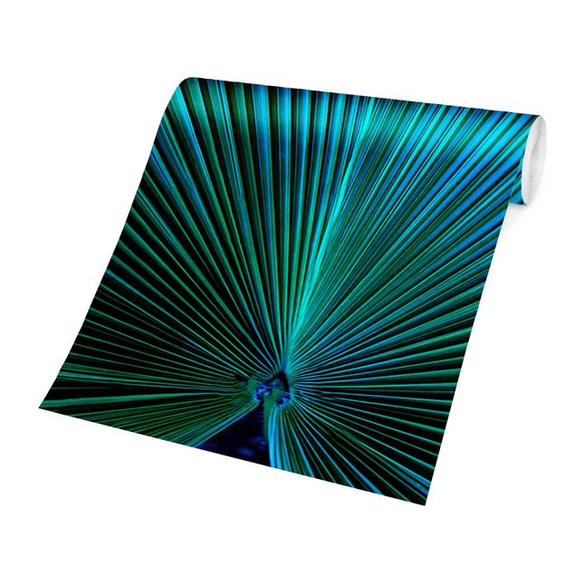 Fotobehang Tropical Plants Palm Leaf In Turquoise ll