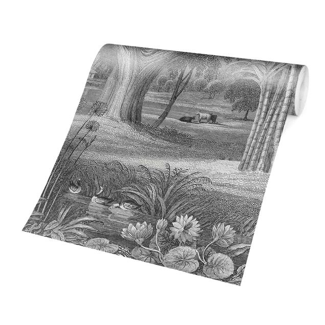 Fotobehang Tropical Copperplate Engraving Garden With Pond In Grey