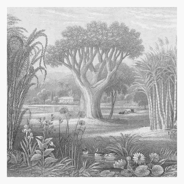 Fotobehang Tropical Copperplate Engraving Garden With Pond In Grey