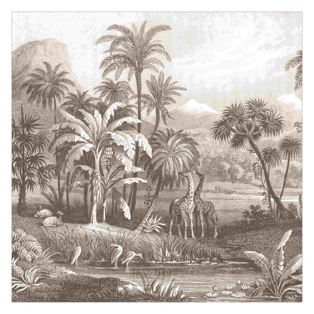 Fotobehang Tropical Copperplate Engraving With Giraffes In Brown