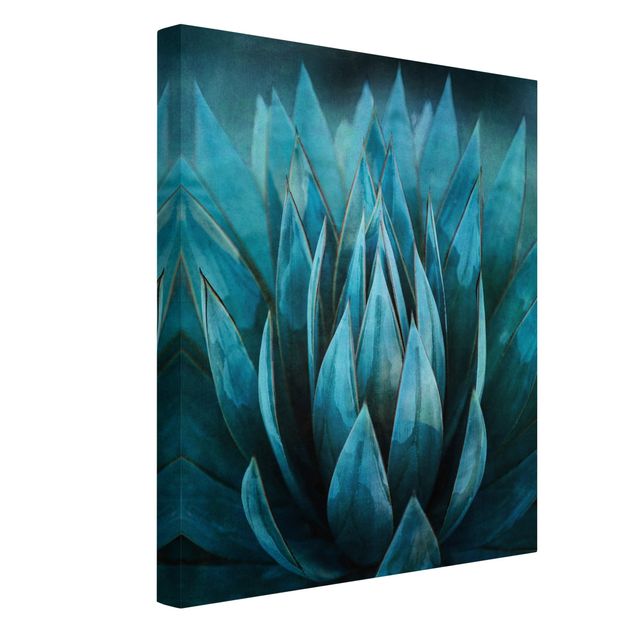 Canvas schilderijen Turquoise Succulents