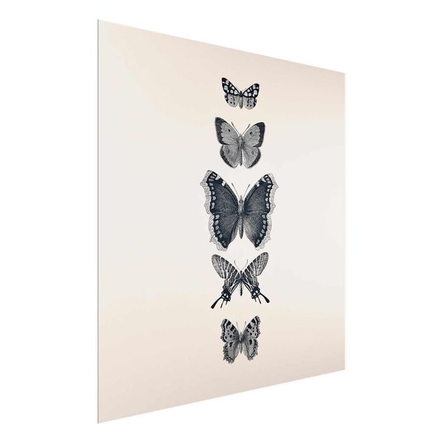 Glasschilderijen Ink Butterflies On Beige Backdrop