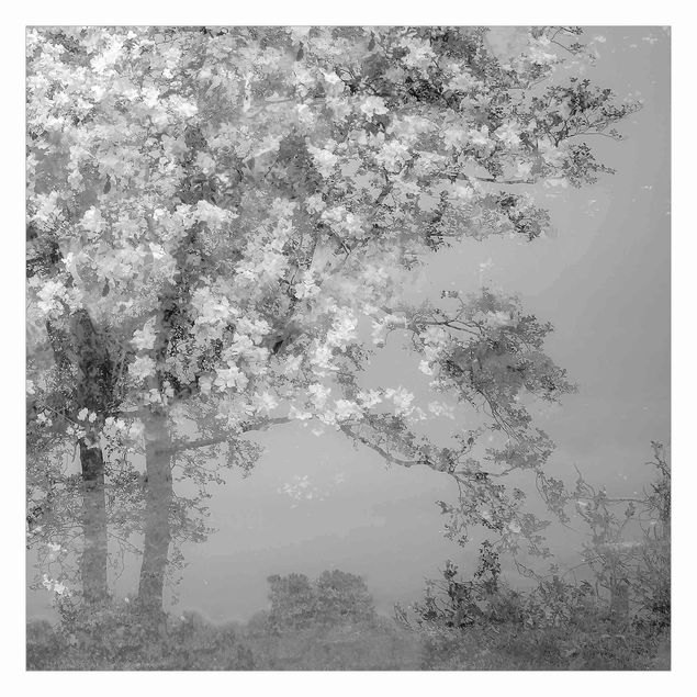 Fotobehang Dreaming Trees In Black And White