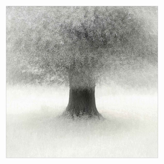 Fotobehang Dreaming Tree In White