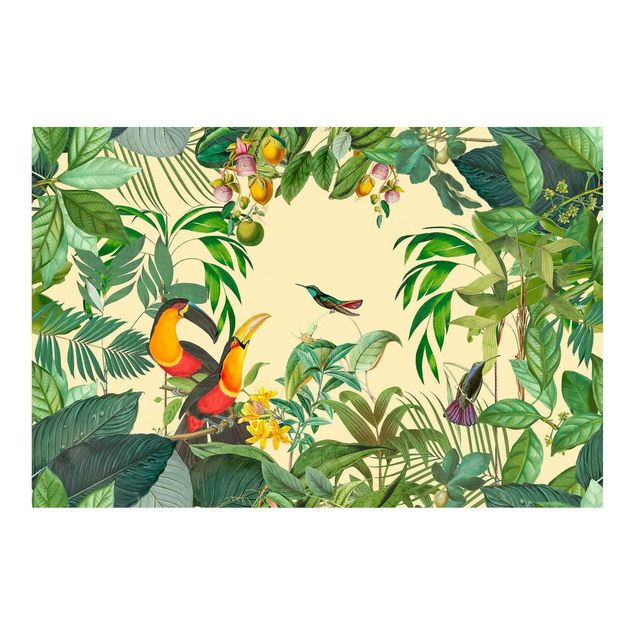 Fotobehang Vintage collage - birds in the jungle
