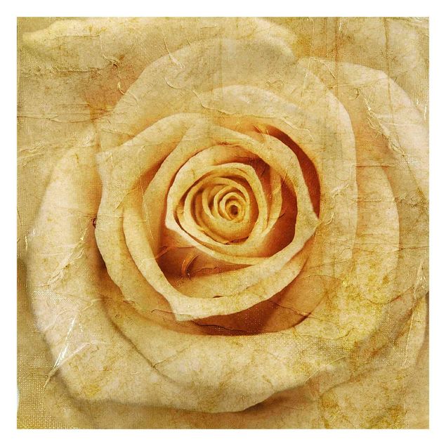 Fotobehang Vintage Rose