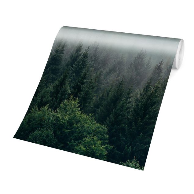 Fotobehang Foggy Forest Twilight