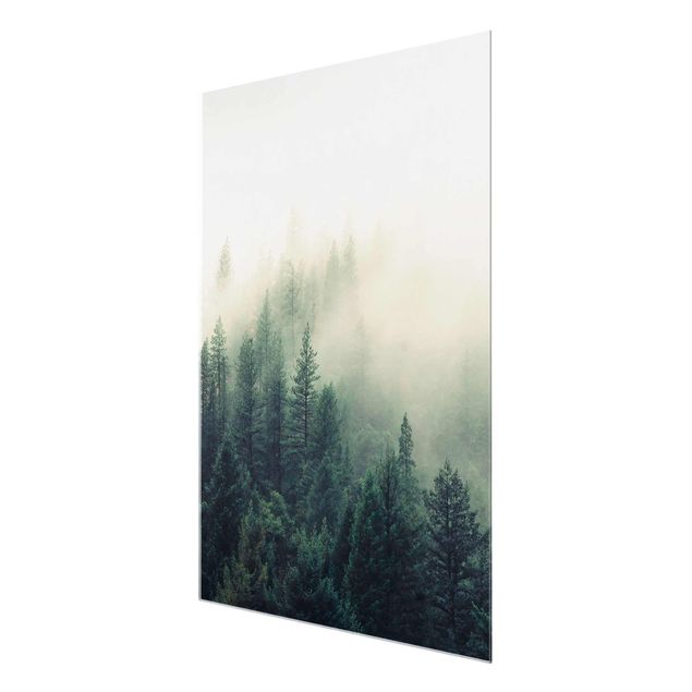 Glasschilderijen Foggy Forest Awakening