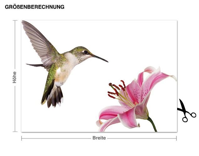 Muurstickers dieren Hummingbird with Flower