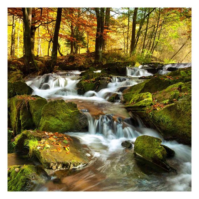 Fotobehang Waterfall Autumnal Forest