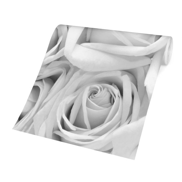 Fotobehang White Roses Black And White