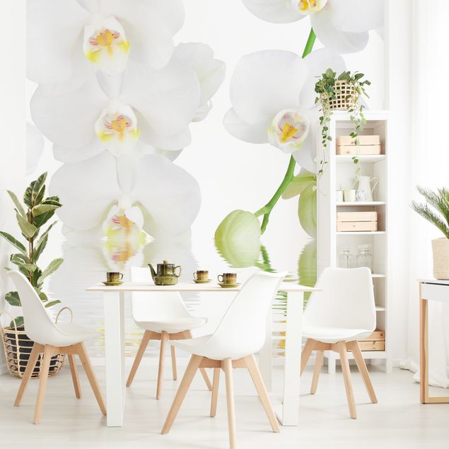 Fotobehang Spa Orchid - White Orchid