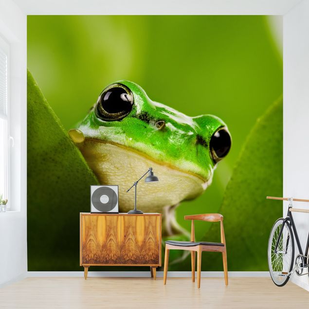 Fotobehang Frog