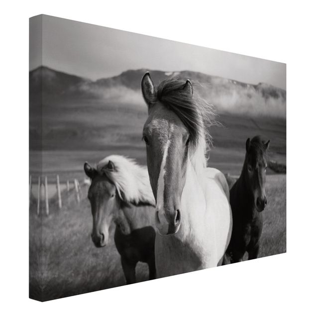Canvas schilderijen Wild Horses Black And White