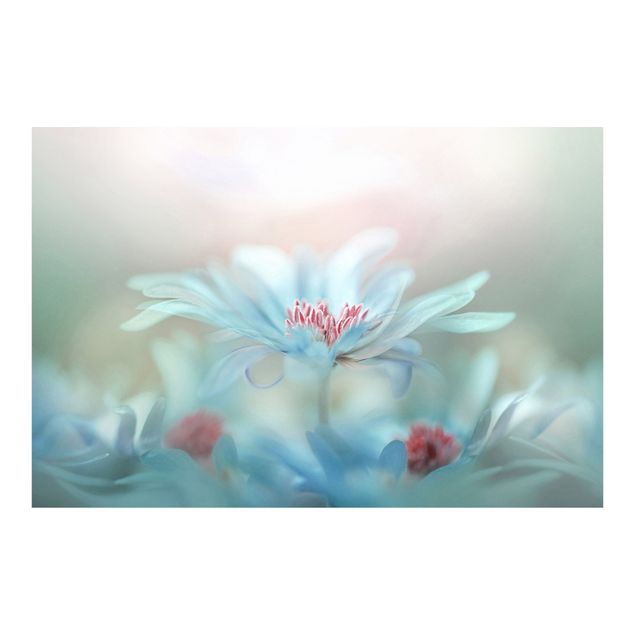 Fotobehang Delicate Flowers In Pastel