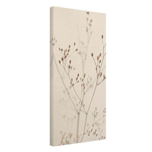 Natuurlijk canvas schilderijen Delicate Buds On A Wildflower Stem