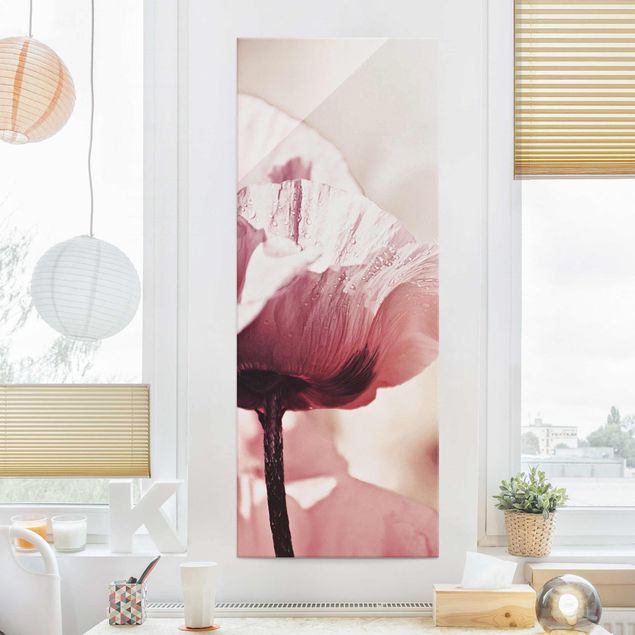 Glas Magnetboard Pale Pink Poppy Flower With Water Drops