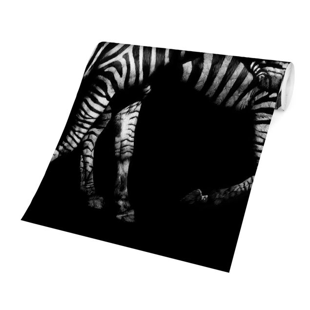 Fotobehang Zebra In The Dark