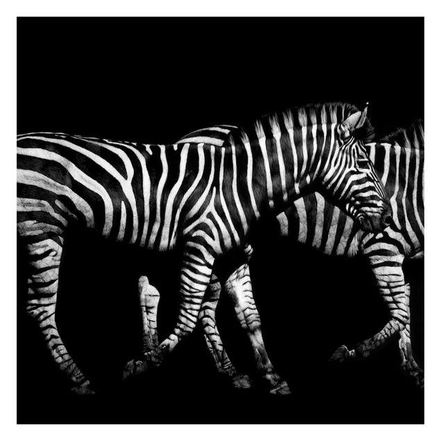 Fotobehang Zebra In The Dark