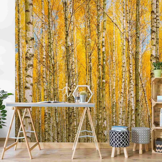 Fotobehang Between yellow birches