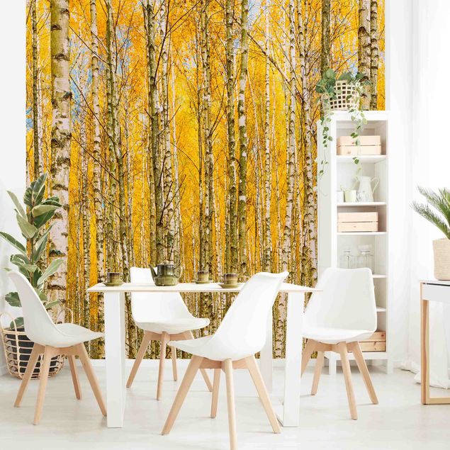 Fotobehang Between yellow birches