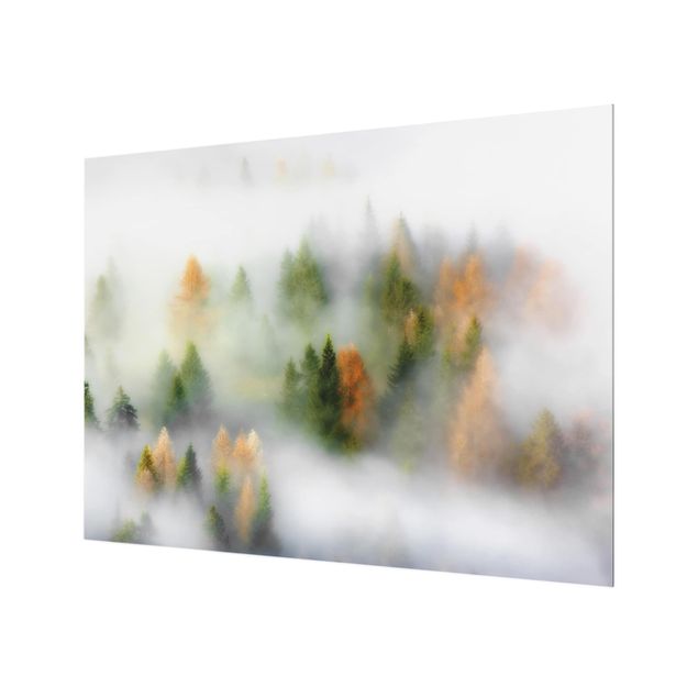 Spatscherm keuken Cloud Forest In Autumn