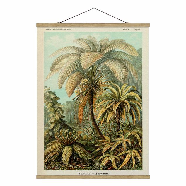 Stoffen schilderij met posterlijst Botany Vintage Illustration Leaves Ferns