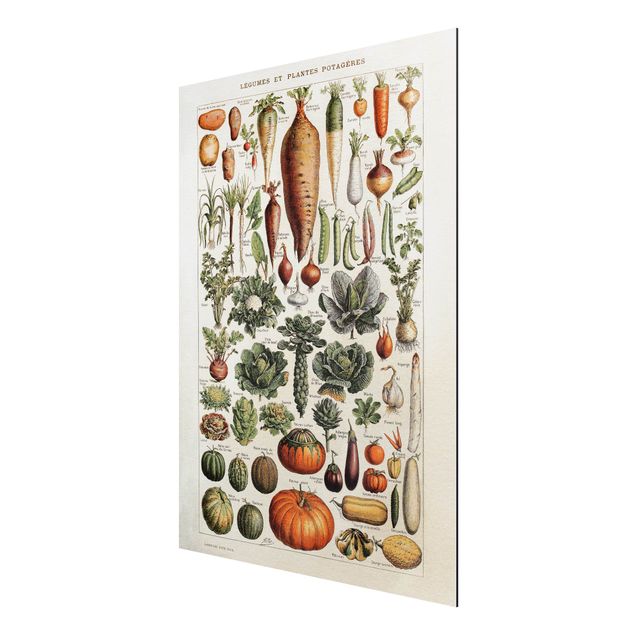 Aluminium Dibond schilderijen Vintage Board Vegetables