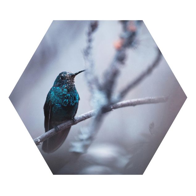 Hexagons Forex schilderijen Hummingbird In Winter