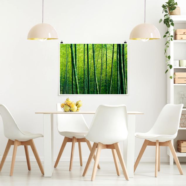 Posters Bamboo Forest