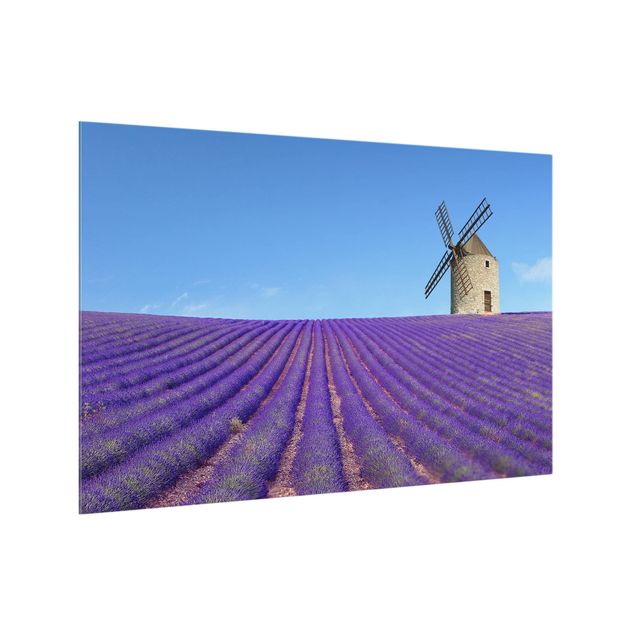 Spatscherm keuken Lavender Fragrance In Provence