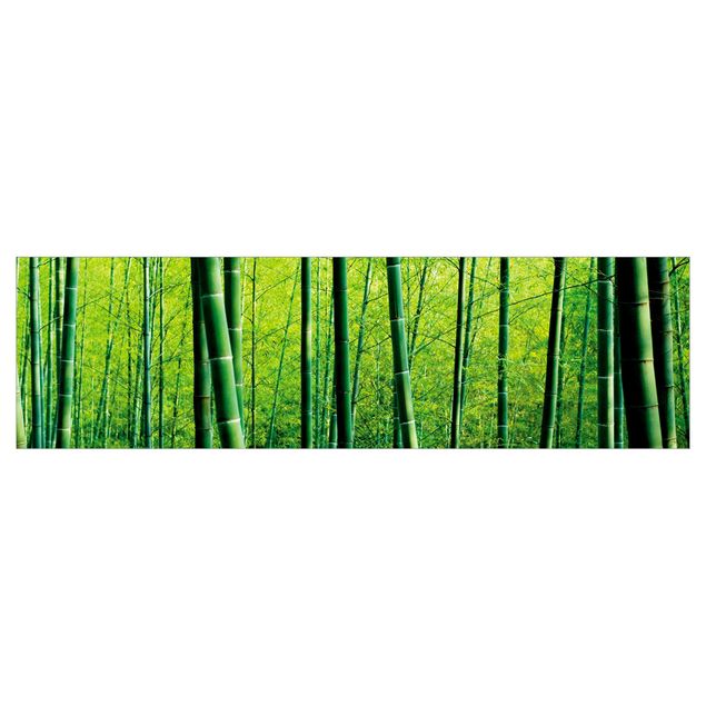 Keukenachterwanden Bamboo Forest