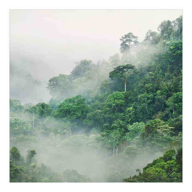 Fotobehang Jungle In The Fog