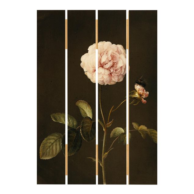 Houten schilderijen op plank Barbara Regina Dietzsch - French Rose With Bumblbee
