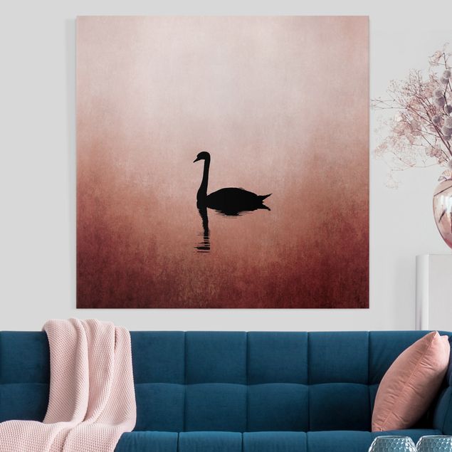 Canvas schilderijen Swan In Sunset