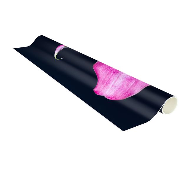 roze tapijt Calla Close-Up Black Backdrop