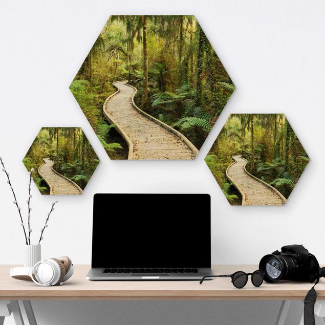Hexagons houten schilderijen Path In The Jungle
