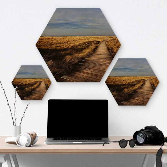Hexagons houten schilderijen Dune Path On Sylt