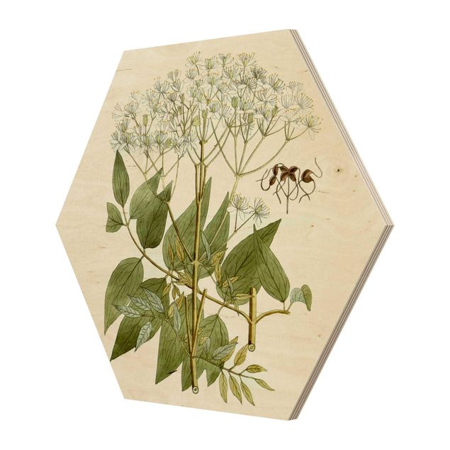 Hexagons houten schilderijen Wild Herbs Board V