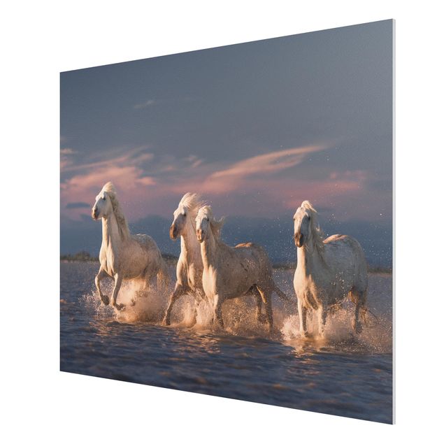 Forex schilderijen Wild Horses In Kamargue