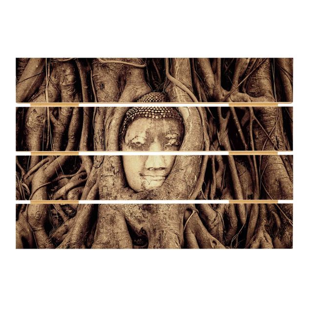 Houten schilderijen op plank Buddha In Ayutthaya Lined From Tree Roots In Brown