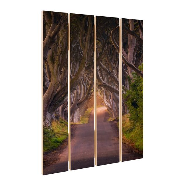 Houten schilderijen op plank Tunnel Of Trees