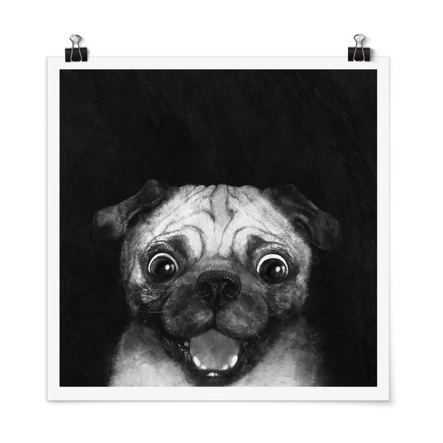 Posters Illustration Dog Pug Painting On Black And White
