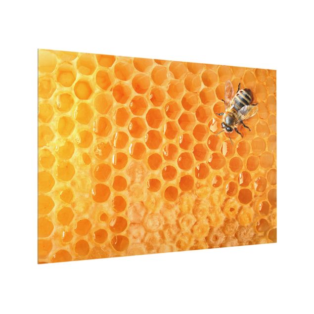 Spatscherm keuken Honey Bee