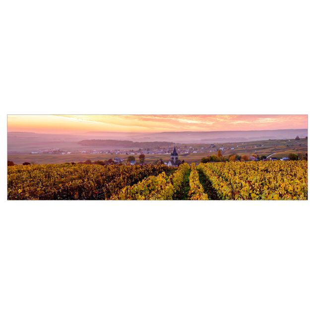 Keukenachterwanden Wine Plantations At Sunset